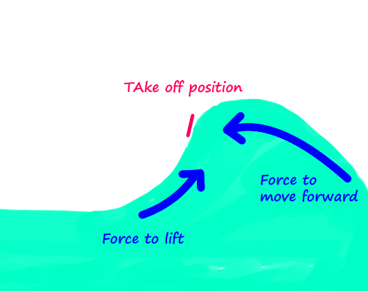 collect-take-off-position-force-to-move-forward-force-to-lift-vertical-waves-surfing