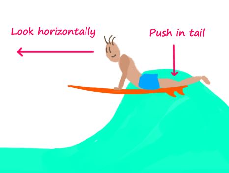 surfing-take-off-push-in-tail-and-look-horizontally-keep-the-surfboard-level