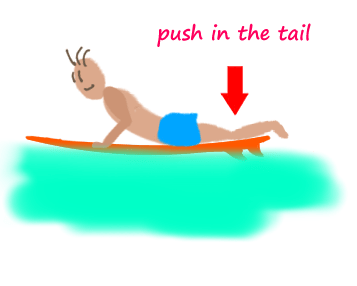 surfing-paddle-method-tips-push-in-the-tail-of-surfboard