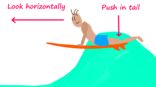 ord-the-tail-of-surfboard