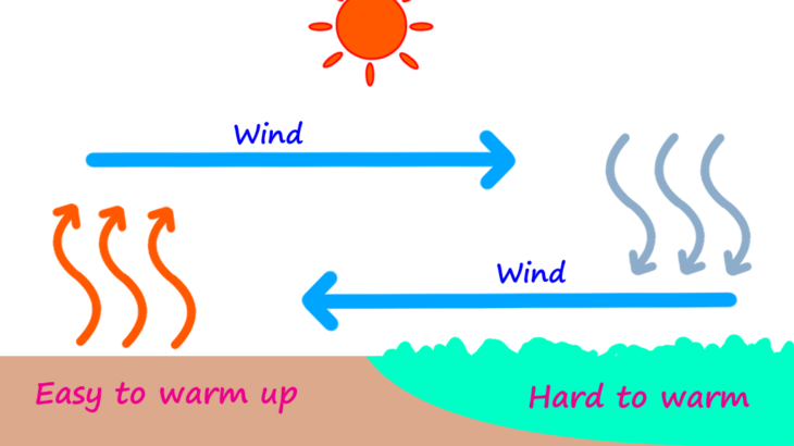 What’s the best time of day to surf? /Why surfers get up early./Why are the waves good in the morning?